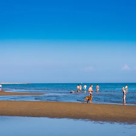 Girasoli Appartamento *