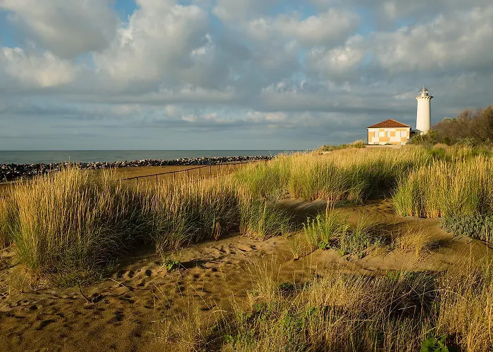 Girasoli ビビオーネ