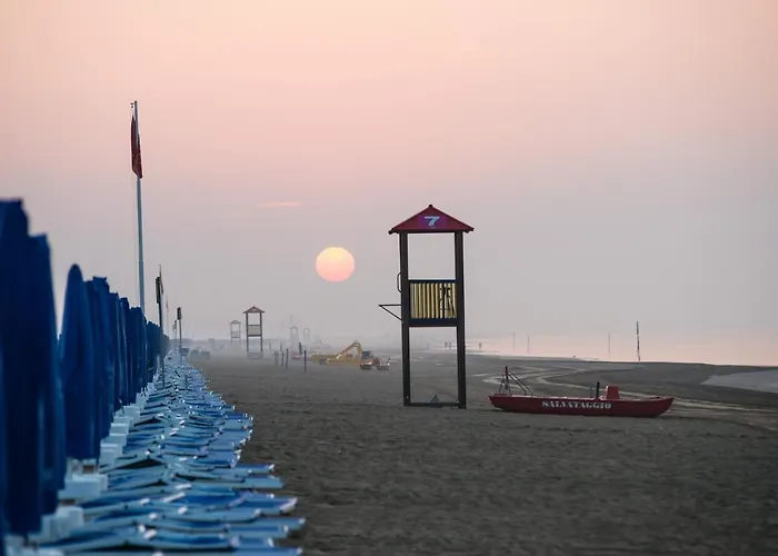 Girasoli ビビオーネ